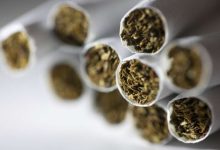 اروپا پیشتاز جهانی مصرف دخانیات؛ هشدار سازمان جهانی بهداشت درباره «ویپ» 19 d8a7d8b1d988d9bed8a7 d9bedb8cd8b4d8aad8a7d8b2 d8acd987d8a7d986db8c d985d8b5d8b1d981 d8afd8aed8a7d986db8cd8a7d8aad89b d987d8b4d8afd8a7 69a13fdae6b0f