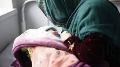 شارژ «یسنا» برای پنجمین بار در سال جاری 1 d8b4d8a7d8b1da98 db8cd8b3d986d8a7 d8a8d8b1d8a7db8c d9bed986d8acd985db8cd986 d8a8d8a7d8b1 d8afd8b1 d8b3d8a7d984 d8acd8a7d8b1db8c 69975c9d08159