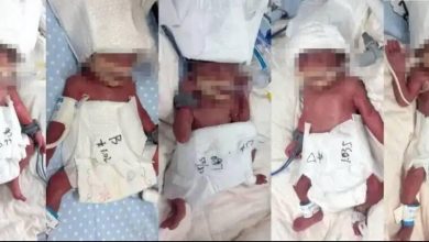 مادر جوان چینی پنجقلو به دنیا آورد 23 d985d8a7d8afd8b1 d8acd988d8a7d986 da86db8cd986db8c d9bed986d8acd982d984d988 d8a8d987 d8afd986db8cd8a7 d8a2d988d8b1d8af 69a1943900dbc