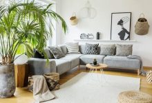 چگونه فنگشویی میتواند استرس محیطی را کاهش دهد؟ 5 da86daafd988d986d987 d981d986daafd8b4d988db8cdb8c d985db8cd8aad988d8a7d986d8af d8a7d8b3d8aad8b1d8b3 d985d8addb8cd8b7db8c 69853bfe95ecf